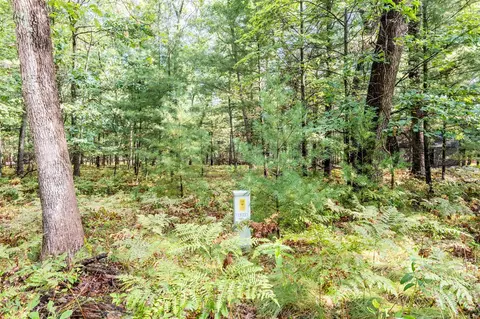 lot S 5-8 29-32 Central Park Blvd, Baldwin, MI 49304 photo 4