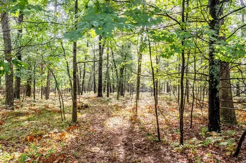 lot S 5-8 29-32 Central Park Blvd, Baldwin, MI 49304