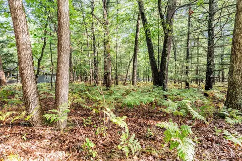 lot S 5-8 29-32 Central Park Blvd, Baldwin, MI 49304 photo 3