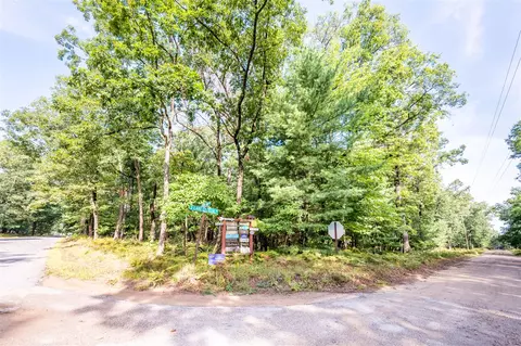 lot S 1-4 33-36 W Central Park Blv, Baldwin, MI 49304