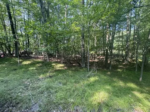tbd Timberlane, Canadian Lakes, MI 49346