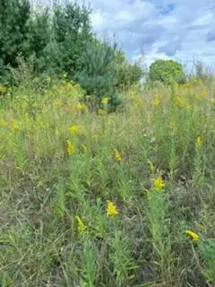 West, Rodney, MI 49342 photo 6