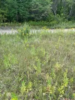 West, Rodney, MI 49342 photo 5