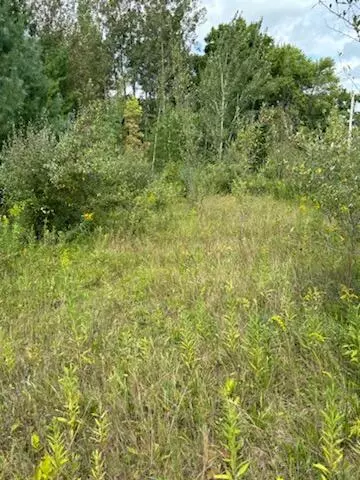 West, Rodney, MI 49342 photo 3