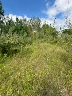 West, Rodney, MI 49342 photo 2