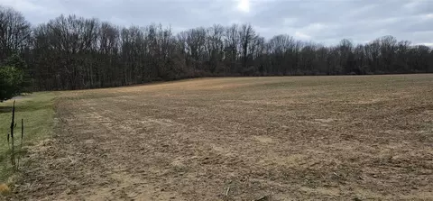 V/l Valewood, Gobles, MI 49055 photo 5