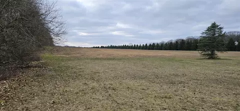 V/l Valewood, Gobles, MI 49055 photo 2