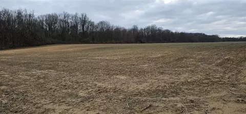 V/l Valewood, Gobles, MI 49055 photo 6