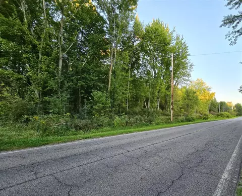 56 Th, Pullman, MI 49450 photo 2