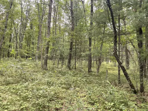V/l W Jefferies St, Irons, MI 49644 photo 4