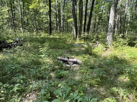 V/l W Jefferies St, Irons, MI 49644 photo 2