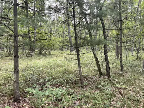 V/l W Jefferies St, Irons, MI 49644 photo 3