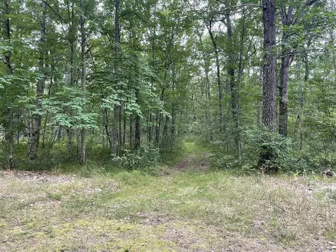 V/l W Jefferies St, Irons, MI 49644 photo 9