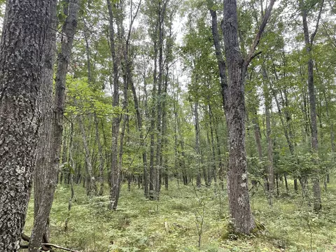 V/l W Jefferies St, Irons, MI 49644 photo 7
