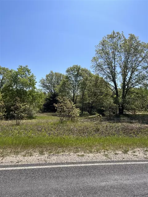Parcel D Bosschem, Wellston, MI 49689
