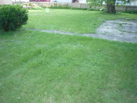 141 Buchanan, Bronson, MI 49028 photo 22
