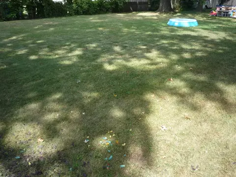 141 Buchanan, Bronson, MI 49028 photo 24