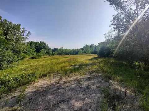 0 Chamberlain, Buchanan, MI 49107 photo 18