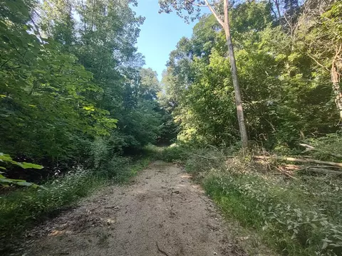 0 Chamberlain, Buchanan, MI 49107 photo 11