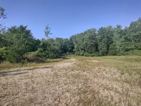 0 Chamberlain, Buchanan, MI 49107 photo 15