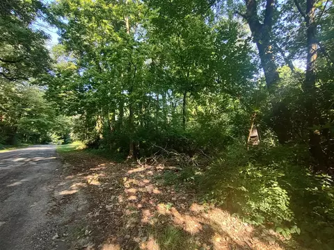 0 Chamberlain, Buchanan, MI 49107 photo 2
