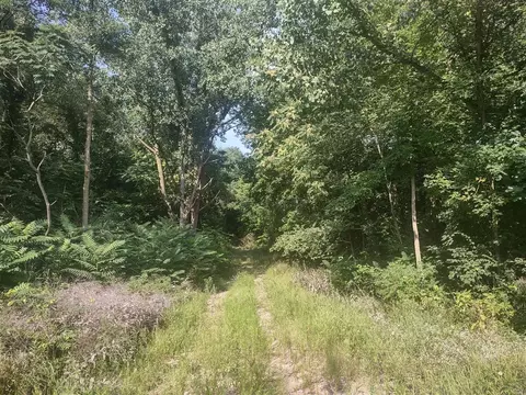 0 Chamberlain, Buchanan, MI 49107 photo 9