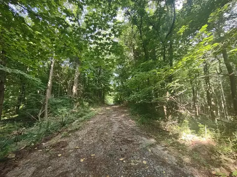0 Chamberlain, Buchanan, MI 49107 photo 10