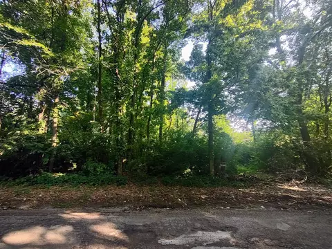 0 Chamberlain, Buchanan, MI 49107