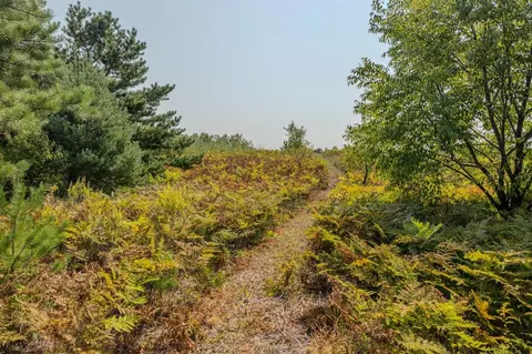 00 Vl Niemi Rd Parcel 2, Bear Lake, MI 49614
