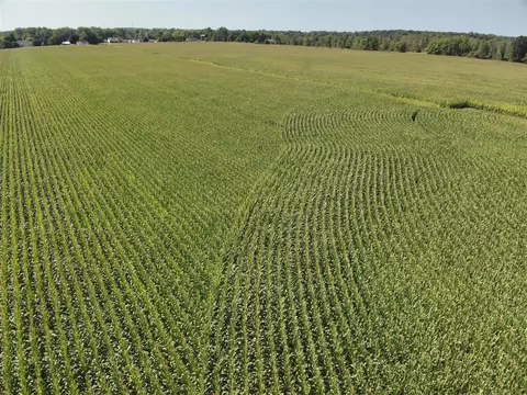 Sand Creek Hwy, Adrian, MI 49221 photo 10