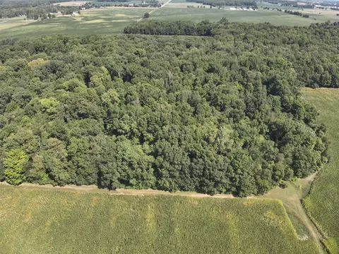Sand Creek Hwy, Adrian, MI 49221 photo 3