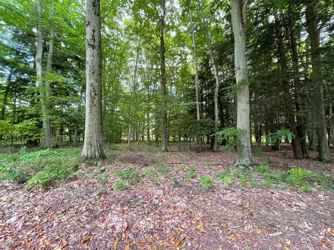 V/l Forest Lake, Big Rapids, MI 49307