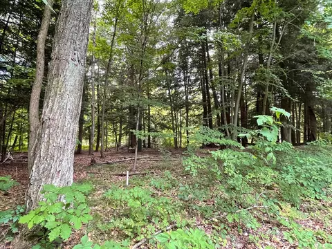V/l Forest Lake, Big Rapids, MI 49307 photo 2