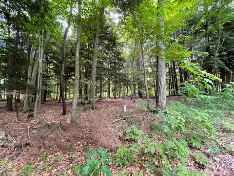 V/l Forest Lake, Big Rapids, MI 49307 photo 3