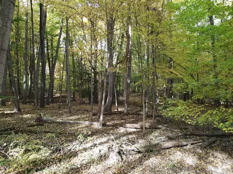 0 Vl Lee Hill Dr, Update, MI 48744 photo 51