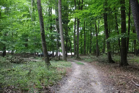 0 Vl Lee Hill Dr, Update, MI 48744 photo 40