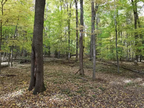 0 Vl Lee Hill Dr, Update, MI 48744 photo 48