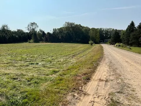 Vacant Lan Wildlife, Bellevue, MI 49021