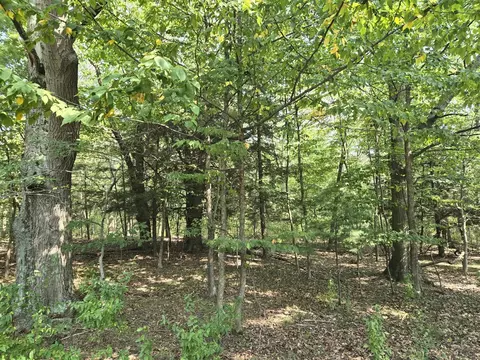 1 W 33 Acres W Harrison, Mears, MI 49436 photo 2