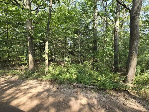 1 W 33 Acres W Harrison, Mears, MI 49436 photo 3
