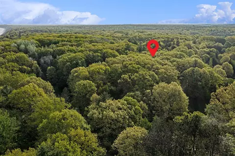 1 W 33 Acres W Harrison, Mears, MI 49436 photo 9