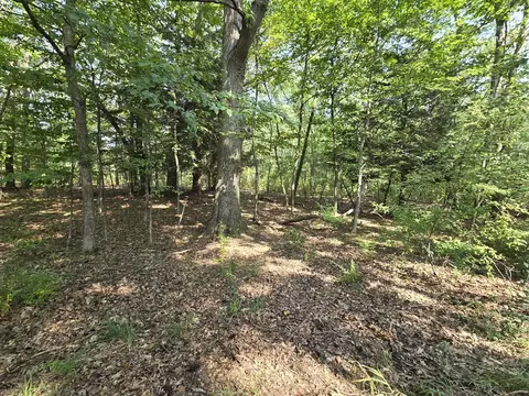 1 W 33 Acres W Harrison, Mears, MI 49436 photo 5