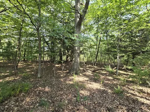 1 W 33 Acres W Harrison, Mears, MI 49436 photo 6