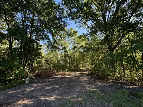 V/l Coates Highway, Brethren, MI 49619