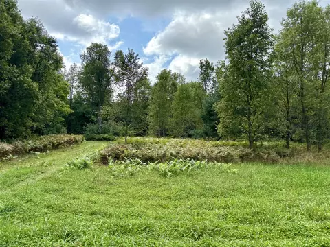 Johnson, Kaleva, MI 49645 photo 11