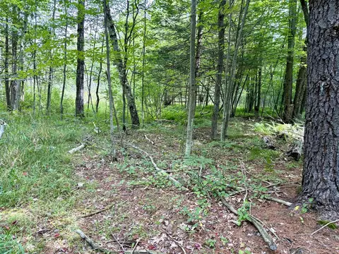 Johnson, Kaleva, MI 49645 photo 15
