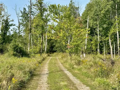 Johnson, Kaleva, MI 49645 photo 17
