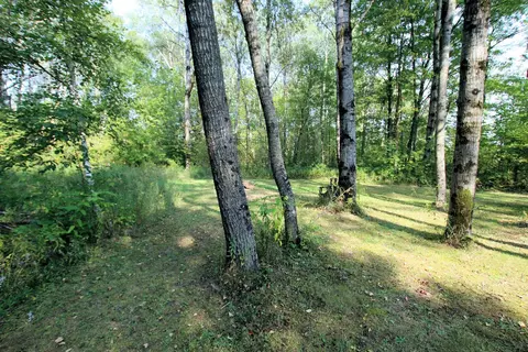 2858 E 1 Mile, White Cloud, MI 49349 photo 64