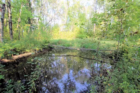 2858 E 1 Mile, White Cloud, MI 49349 photo 63
