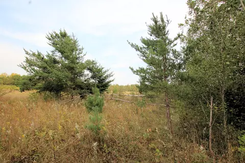 2858 E 1 Mile, White Cloud, MI 49349 photo 67